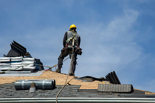 Professional Roof Replacement technician working in Lowmansville, KY